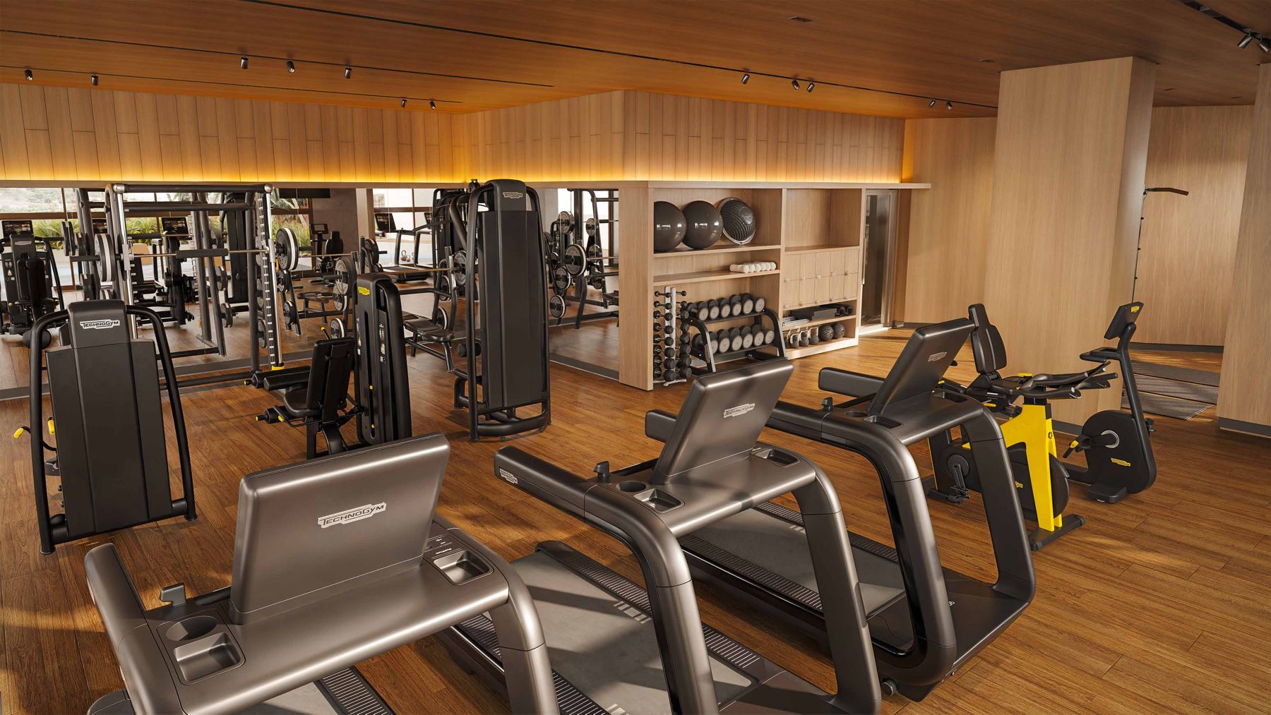Fitness
